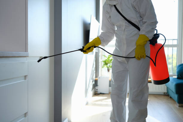 Best Mold Cleaning Services  in Central Gardens, TX