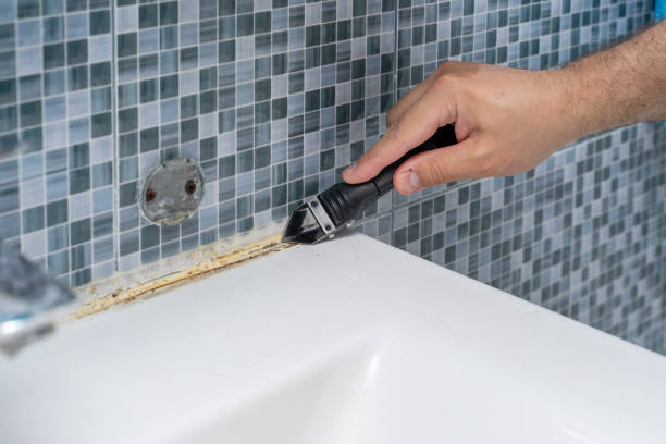 Best Attic Mold Removal  in Central Gardens, TX